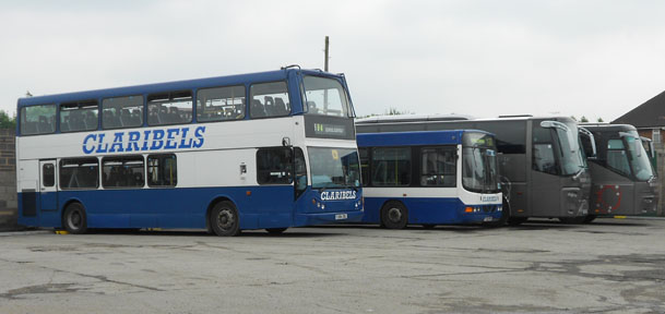 Claribell buses
